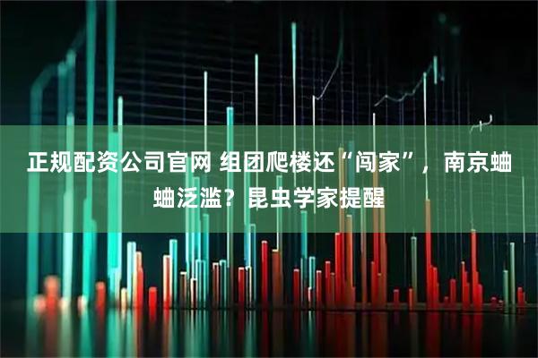 正规配资公司官网 组团爬楼还“闯家”，南京蛐蛐泛滥？昆虫学家提醒